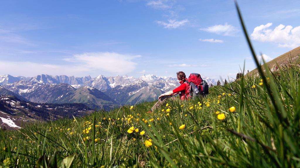 Alpen-Chalets Achensee Maurach  Luaran gambar